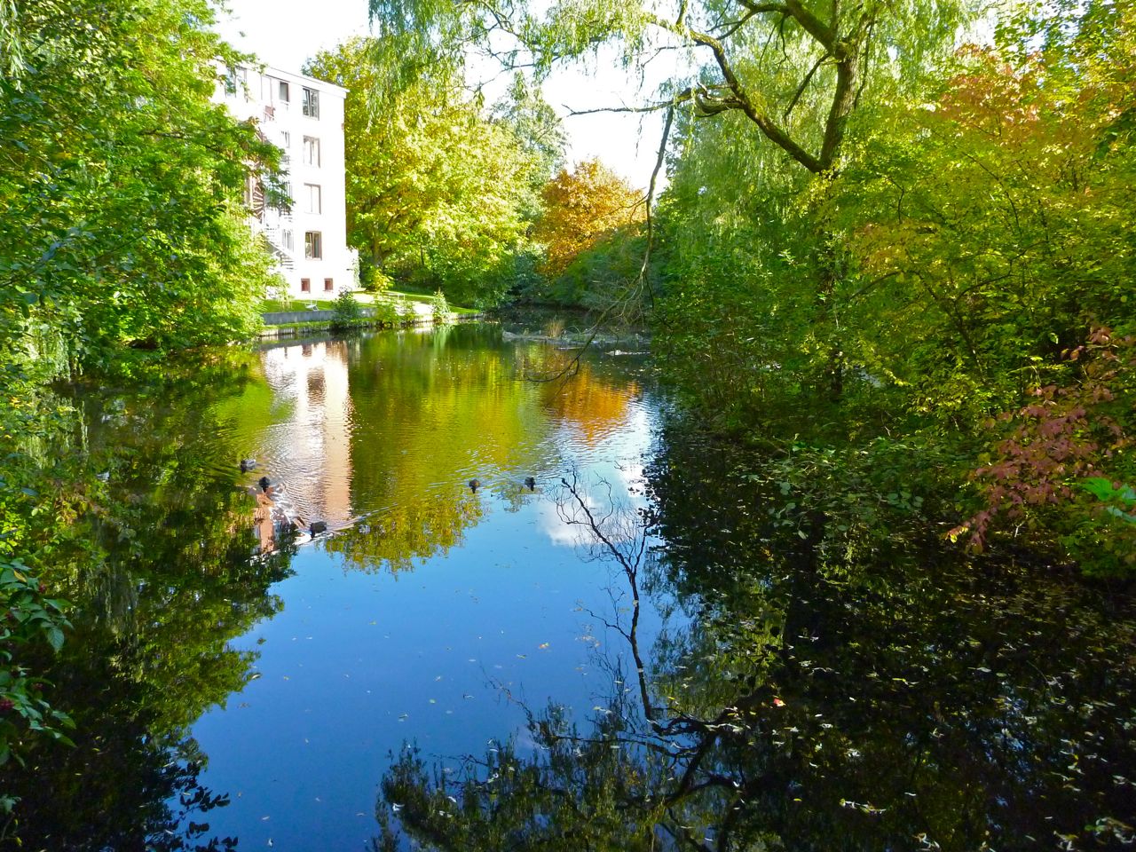 Aus dem Archiv! Herbst in Lokstedt im Jahre 2009