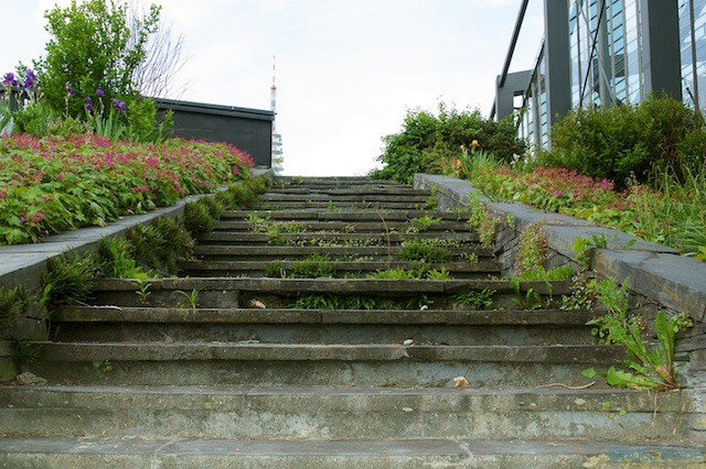Treppe bei den Tropenhäusern in Planten un Blomen