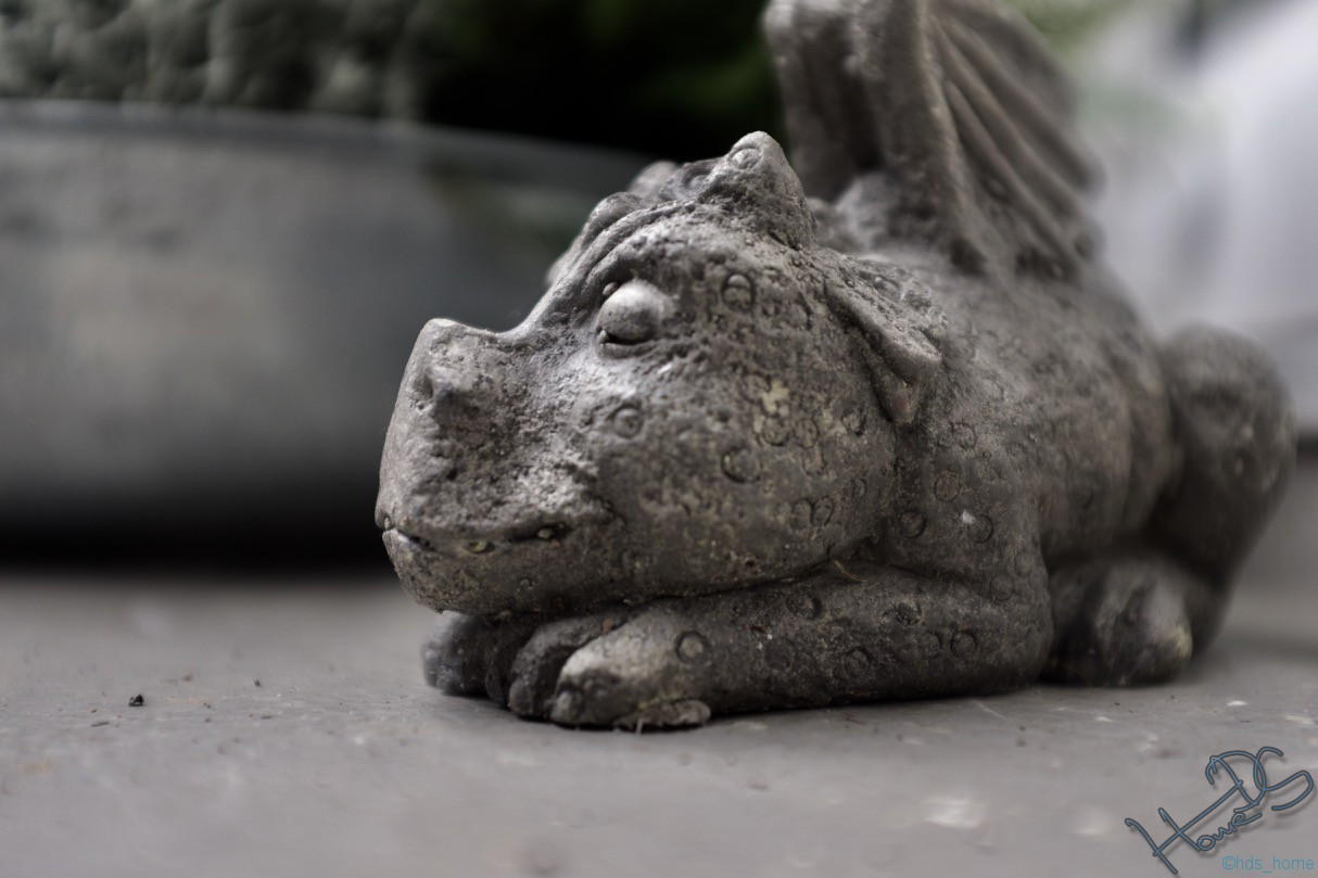 Drache Günther wurde mit der Fujifilm X100F fotografiert