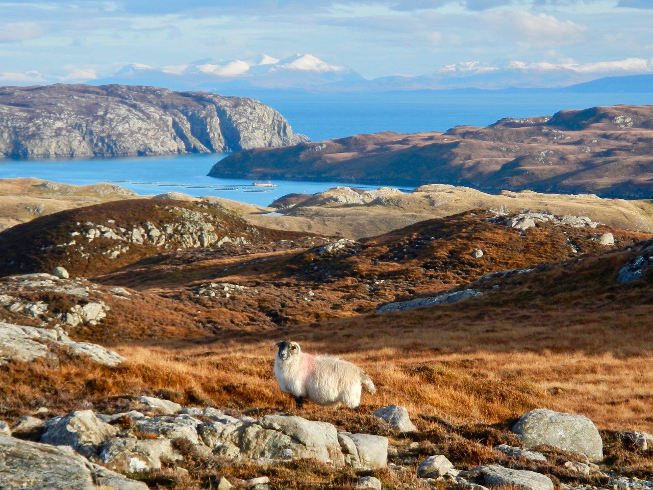 Das Copyright diese Foto liegt bei einer Bewohnerin der Isle of Lewis! An dieser Stell nochmal Danke für die Nutzungserlaubnis!